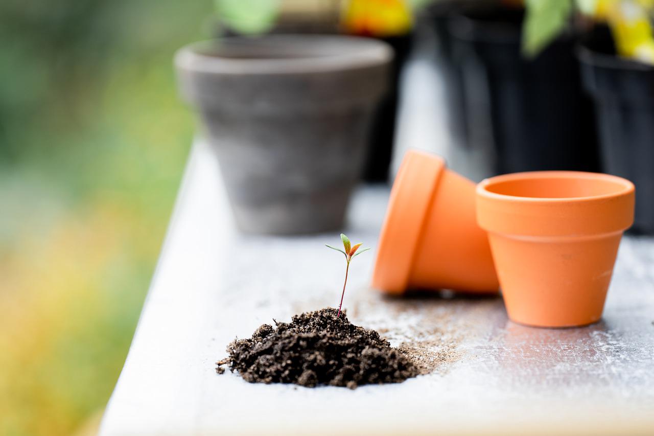 Plants Soil Pots Tools Gardening  - Ylanite / Pixabay
